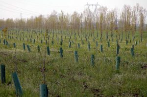 Il piano agro-ambientale