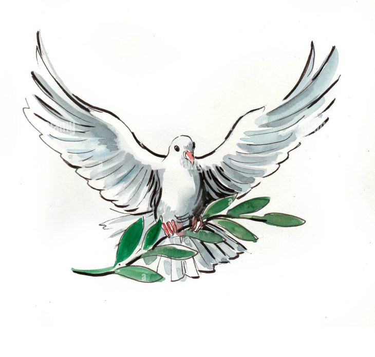 colomba-bianca